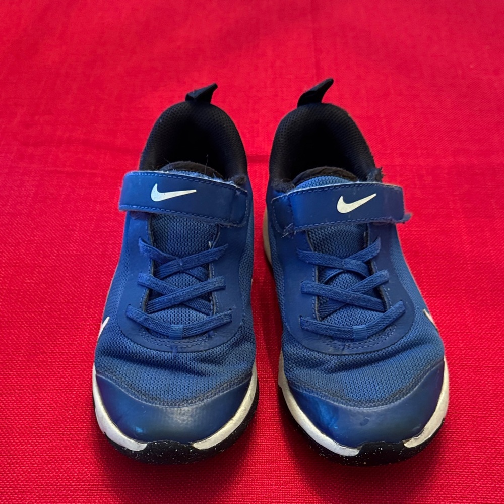 Nike Kids Royal Blue Sneakers